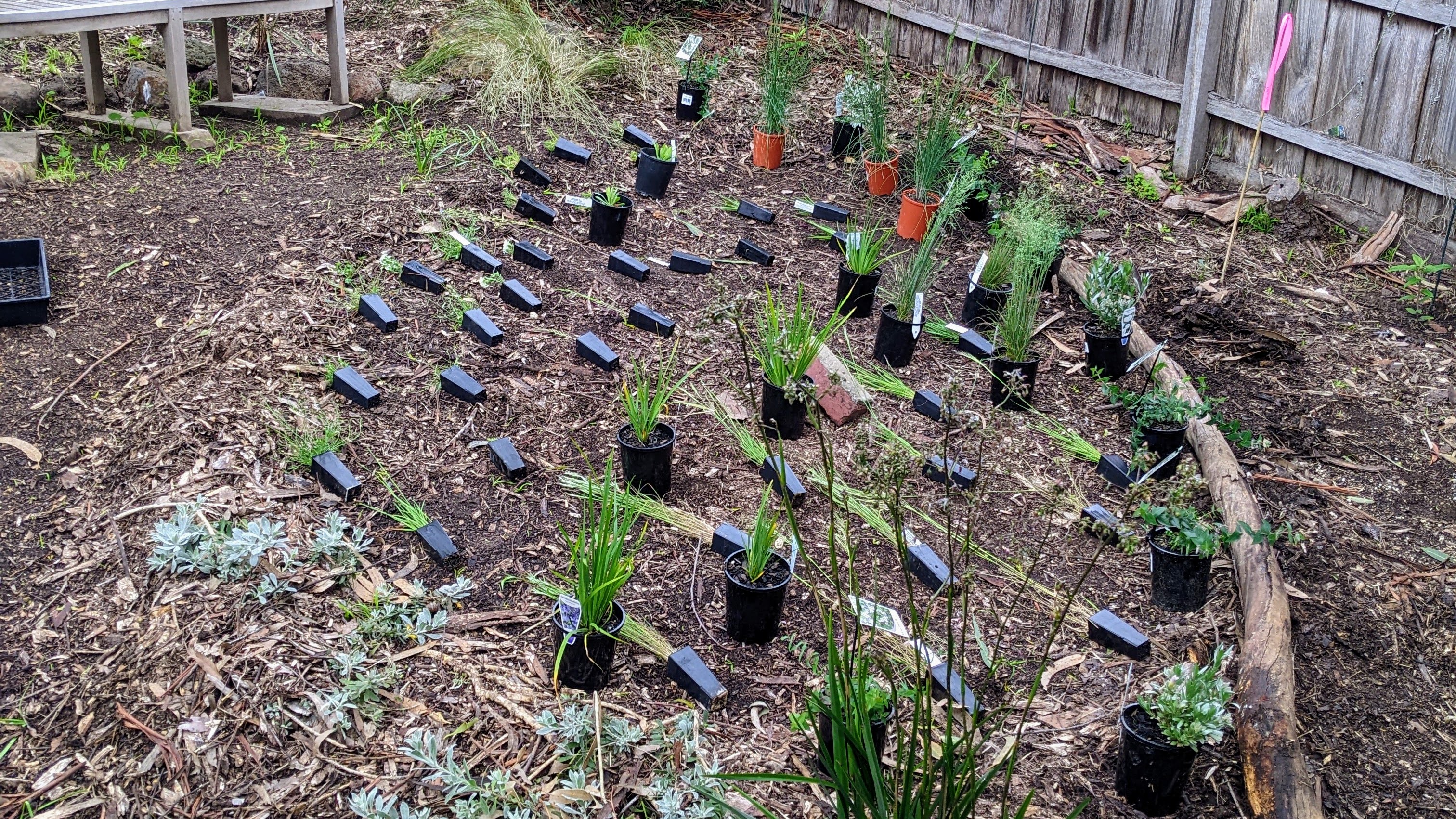 Garden coaching in progress